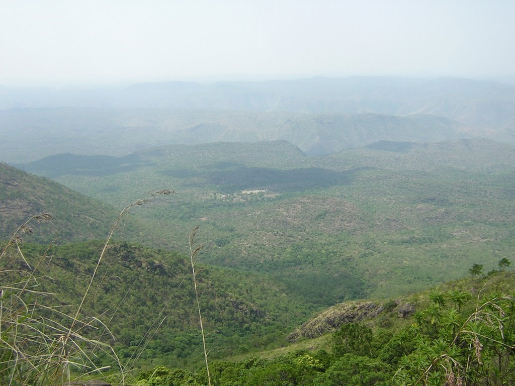 Trekking in Ooty