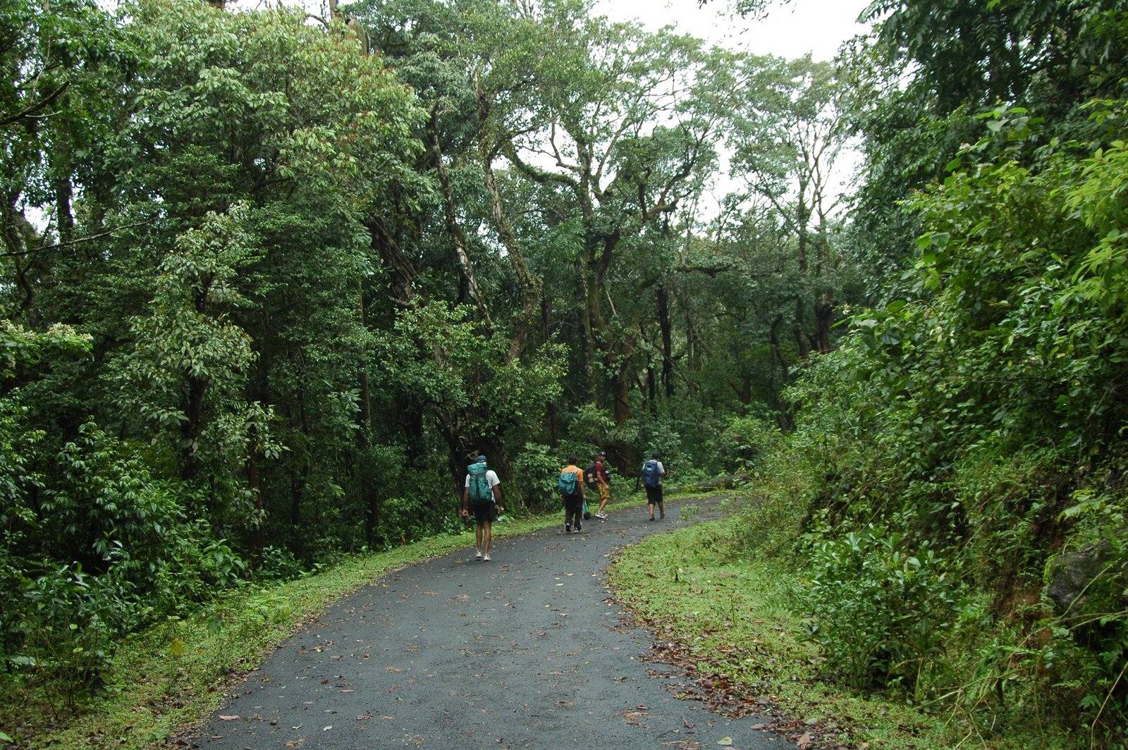 Unfinished trek to Kumara Parvatha