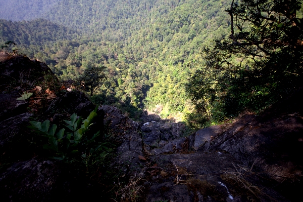 PAYANIGA - From the top of Barkana falls
