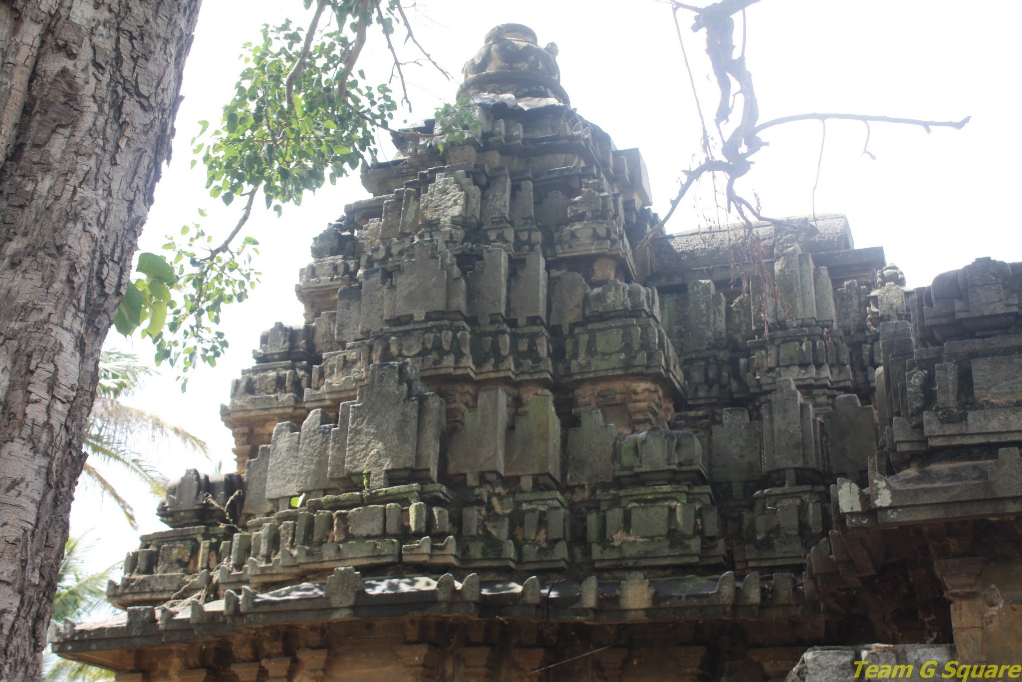 The Shikara of Eshwara temple