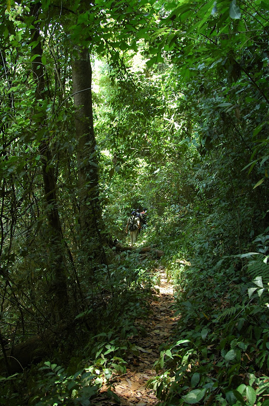 Trek to Bheemeshwara: The Beginning