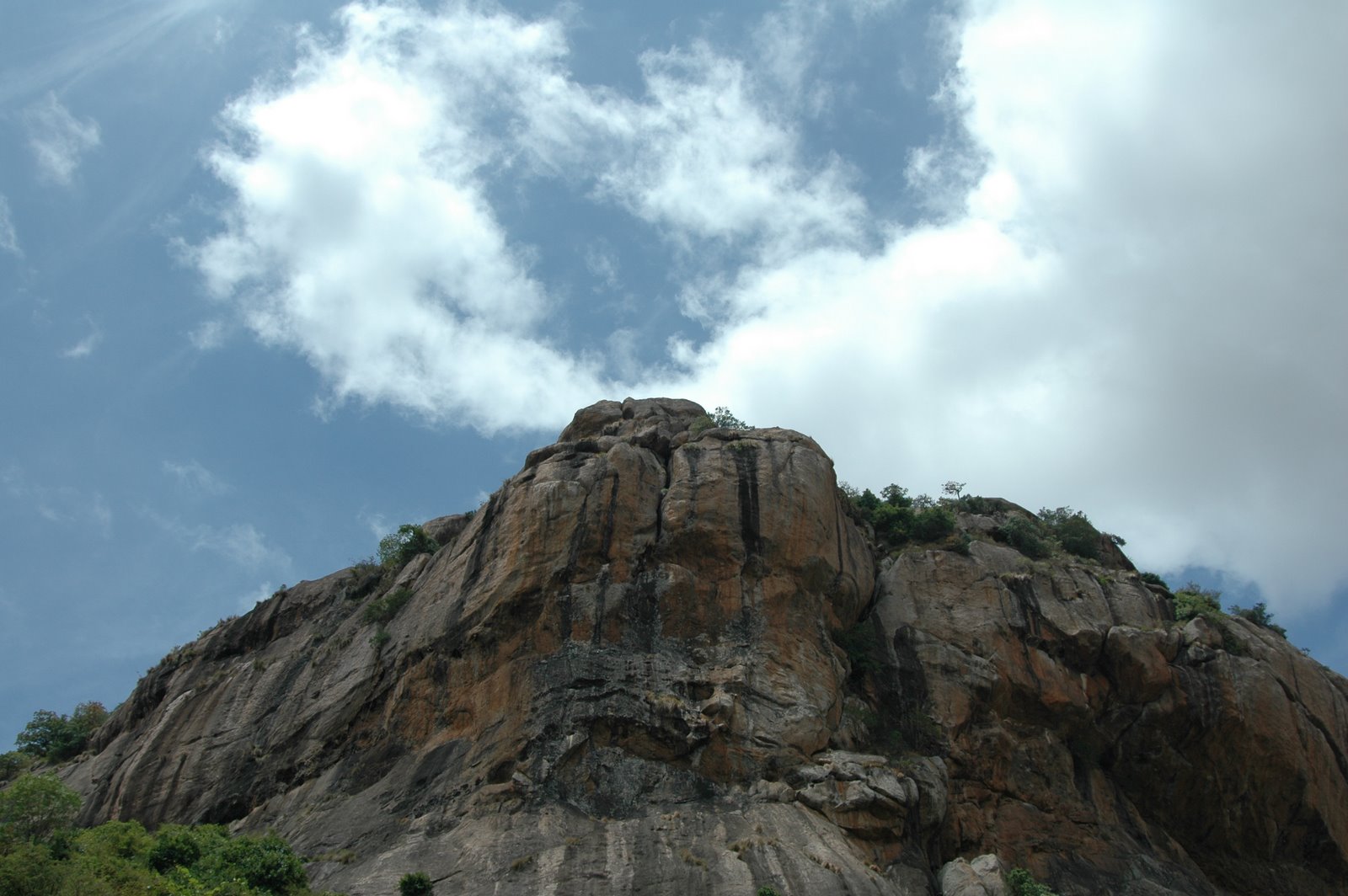 15 Night Trek in Bangalore