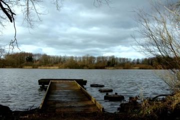 A Walk in the Coatewater Country Park | PAYANIGA