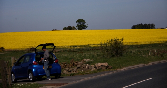 Yellow fields of Aberdeenshire