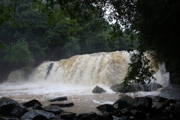 Payaniga: Mookanamane falls in Monsoon
