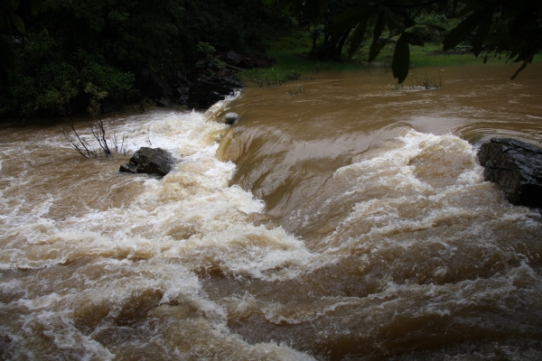 Payaniga: Mookana mane falls in Monsoon