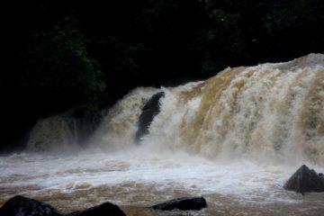 Mookanamane falls in Monsoon | PAYANIGA